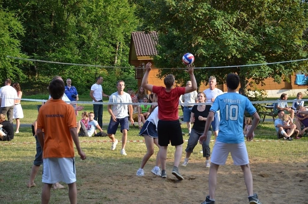 Photo 43