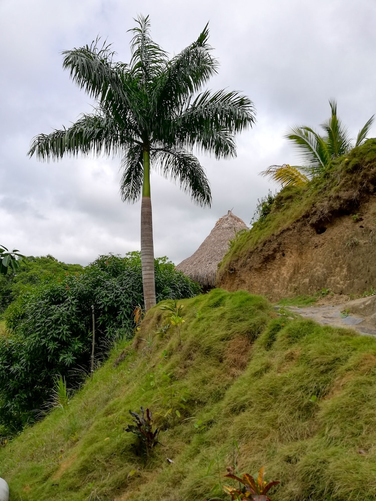 Ecohabs Bosques del Tayrona