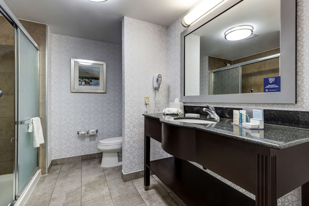Brantford Vacations - Hampton Inn  Suites by Hilton Brantford Conference Centre - Property Image 2