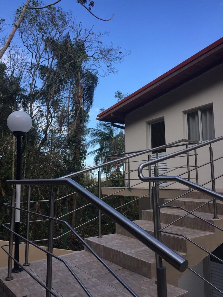 Casa Figueira na Pedra
