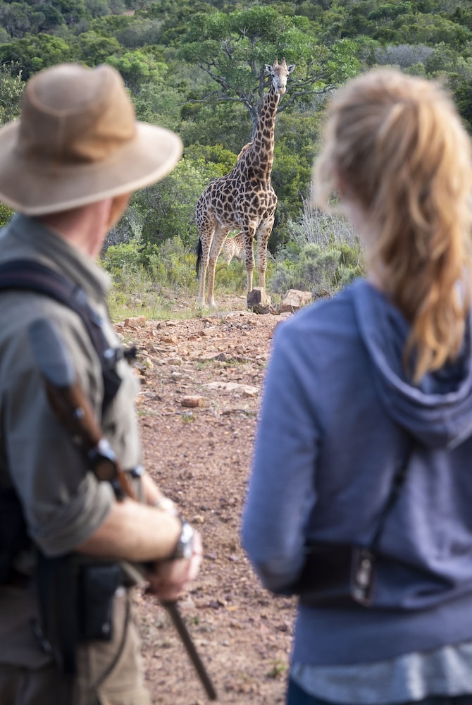 Elephants Lodge - Bellevue Forest Reserve