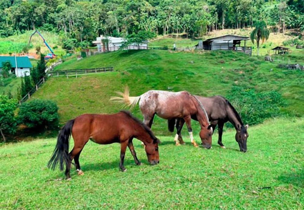 Recanto Fogo na Taça