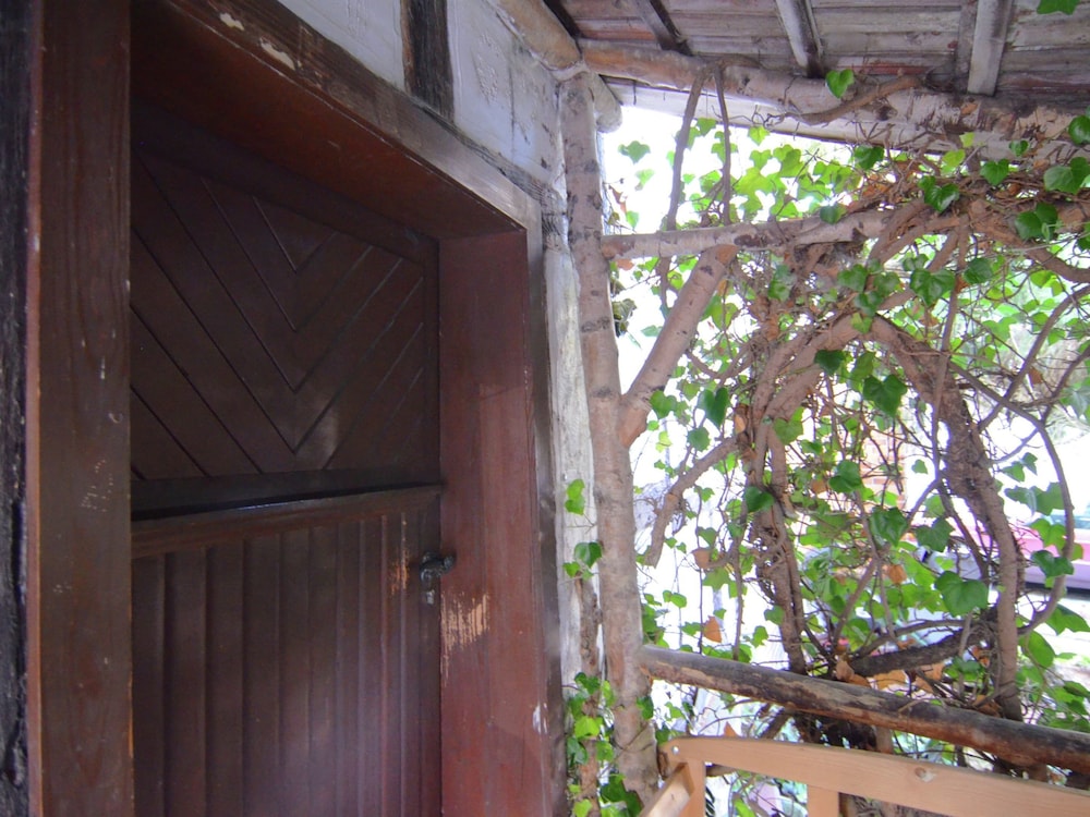 Ferienhaus in Hessen mit Garten, photo 4