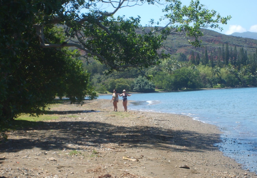Photo 40