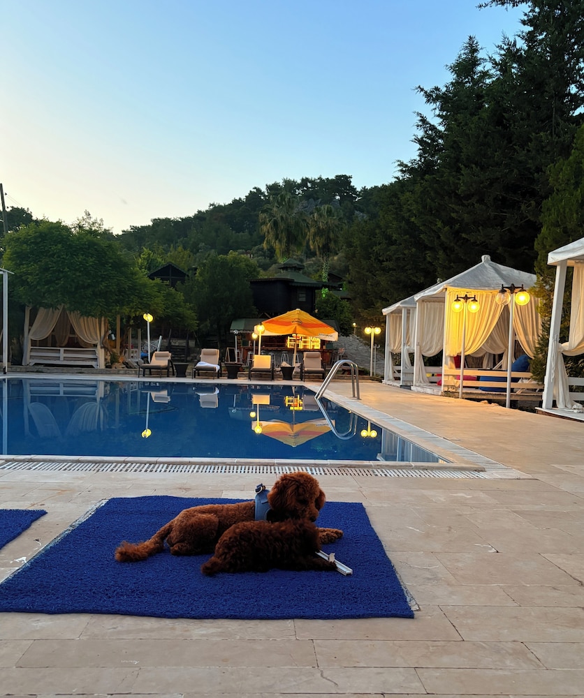 Olympos Talara