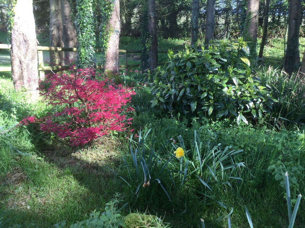 Photo 48