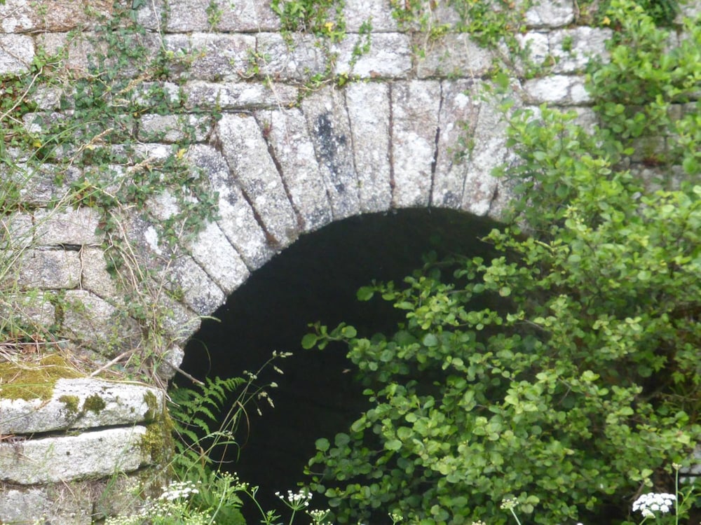 Photo 39