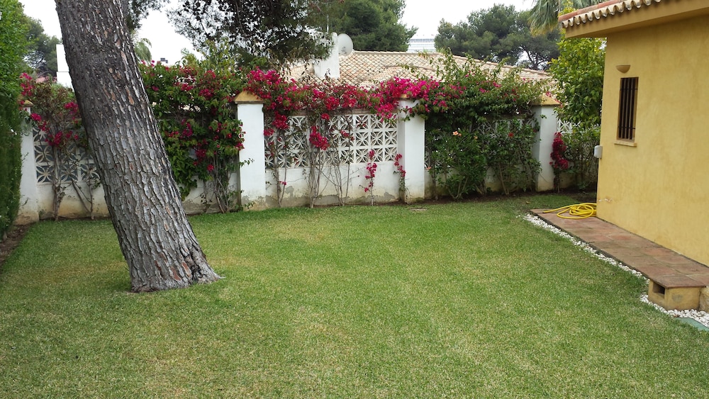 Photo 25