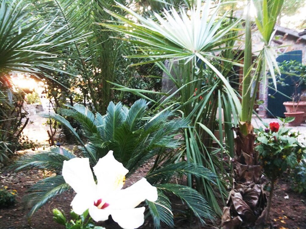 Photo 48