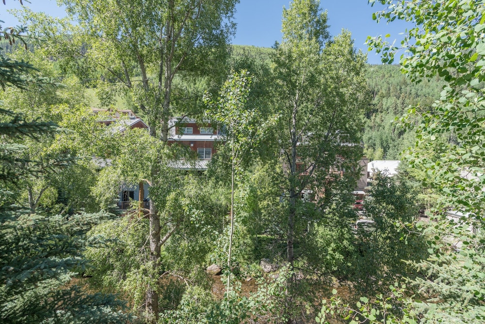 Alpine Lodging Telluride Ski Resort