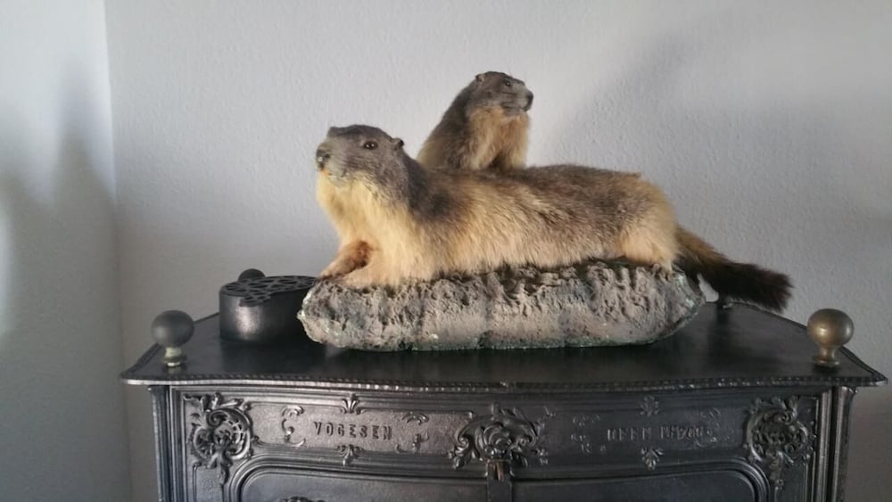 Photo 22