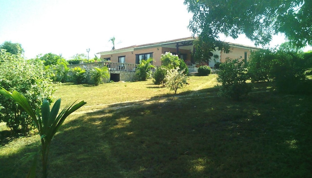 Photo 37