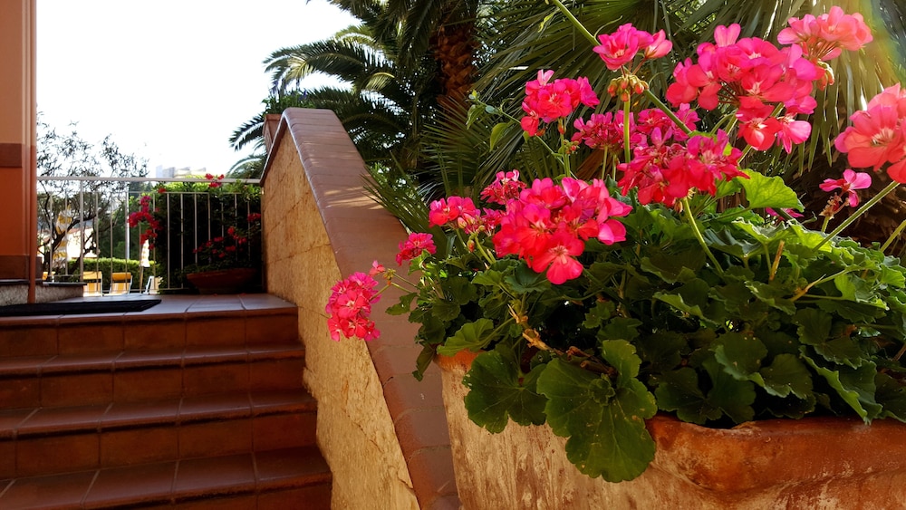 Residence Orchidea photo 3