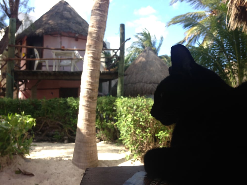 Acamaya Reef Cabanas - Caravan Park