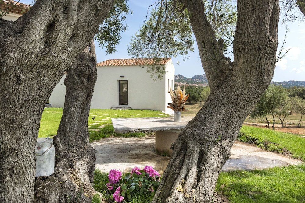 Arzachena Vacations - Uddastri Retreat - Property Image 14