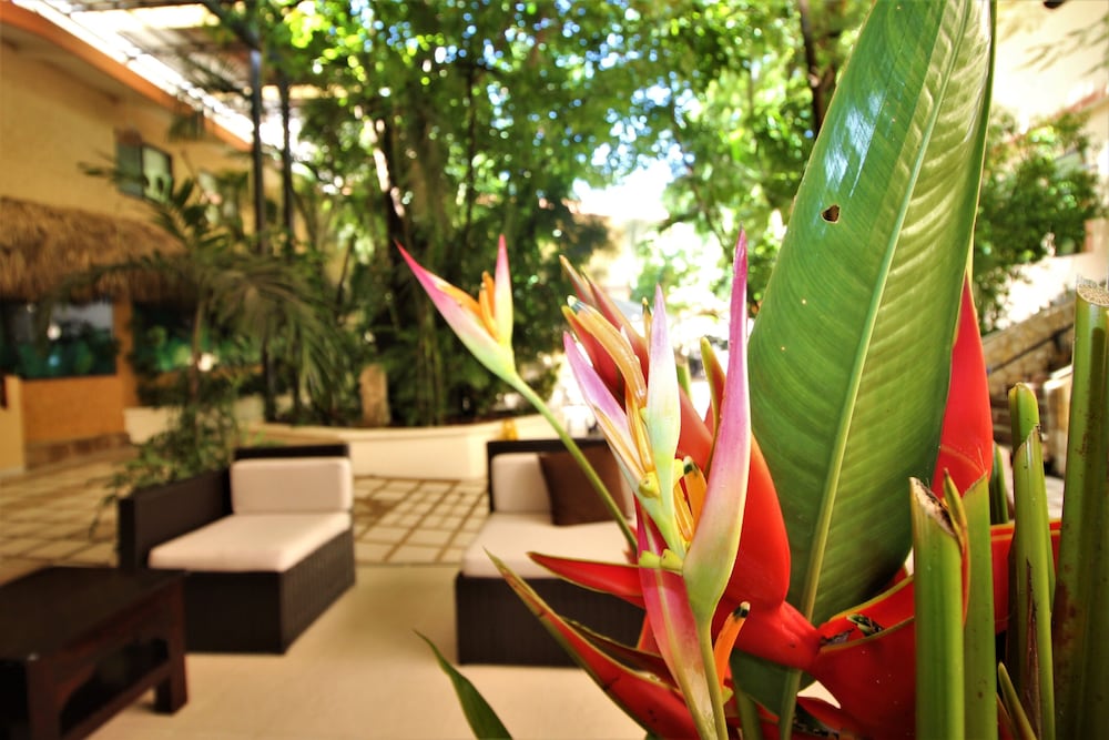 Palenque Vacations - Maya Tulipanes Express - Property Image 2