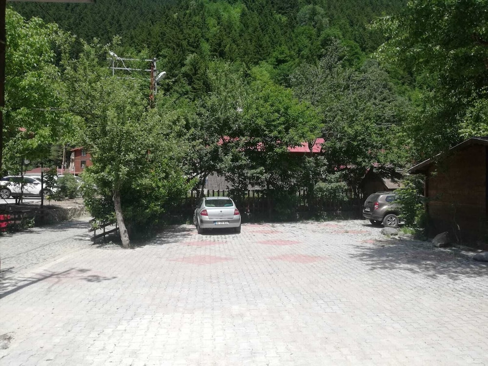 Photo 21