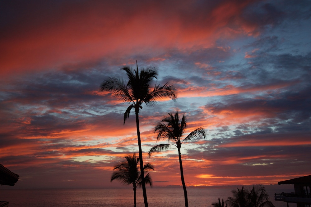 Fabulous Ocean View - Sunset - Lanai Dining - Beautifully Upgraded - Vrkcv
