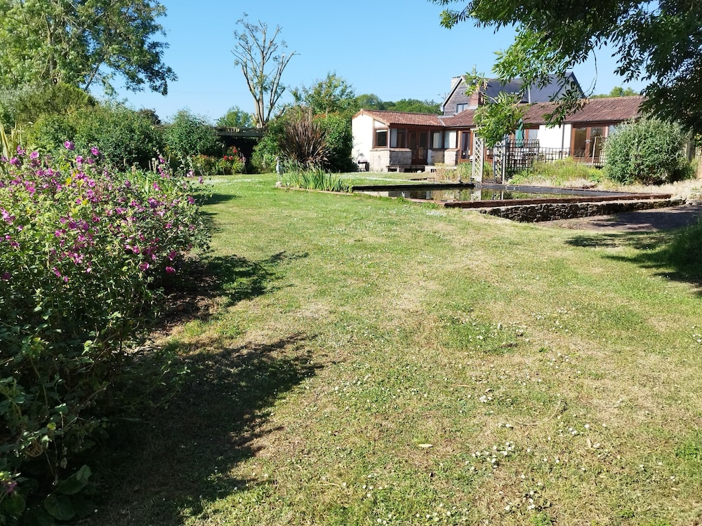 Photo 11