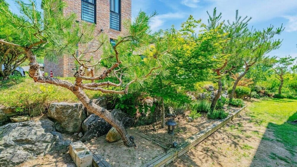 Chuncheon Stay 266