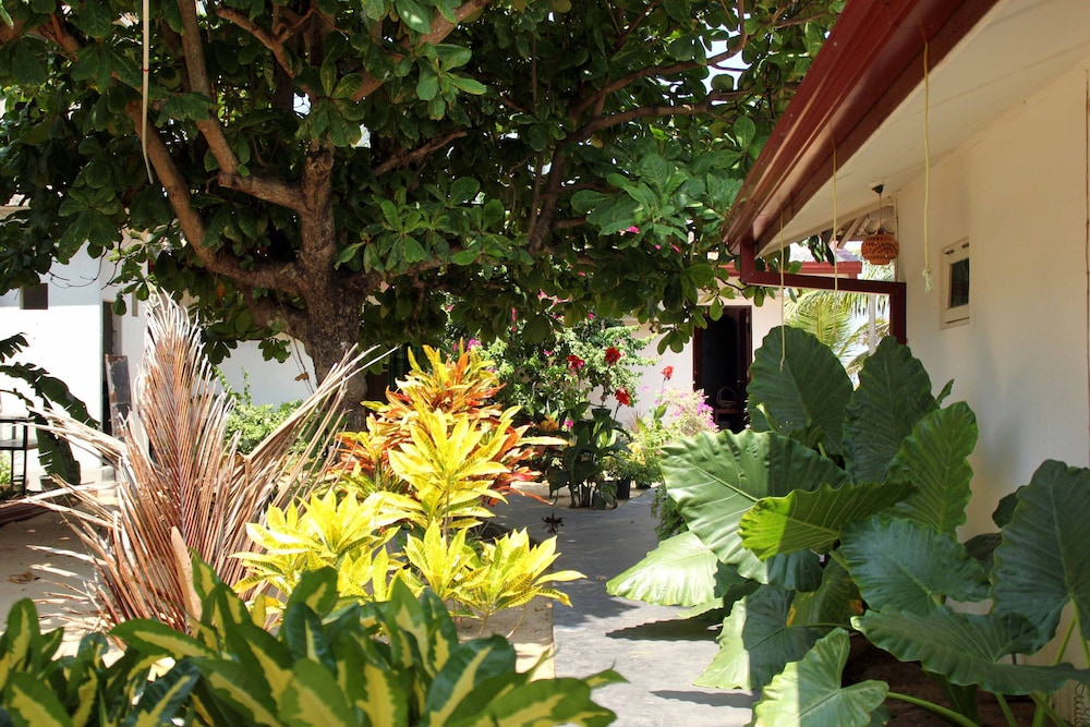 Photo 22