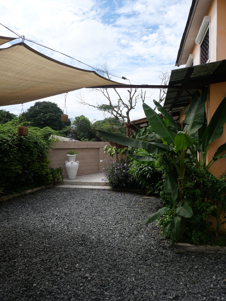 Photo 44
