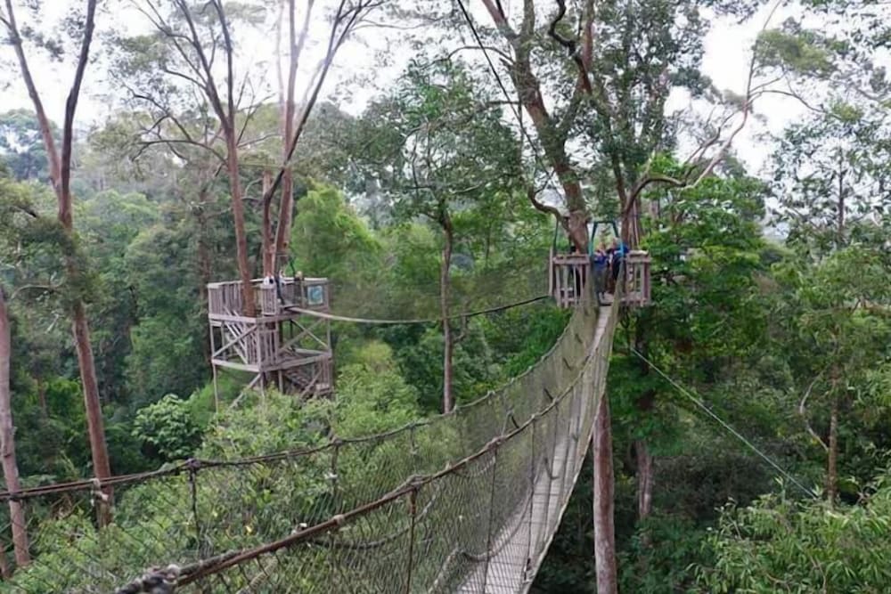 Samboja Lodge