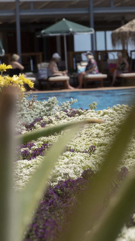 Platanias Vacations - Maleme Mare Beach Resort Hotel - Property Image 33