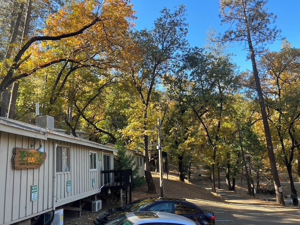 Yosemite Bug Rustic Mountain Resort