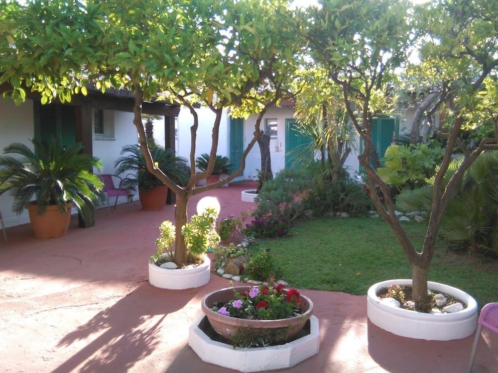 Photo 20