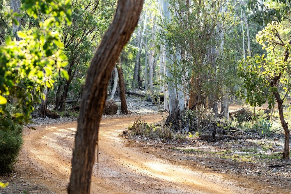 Forest Rise
