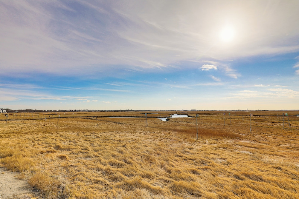 Walk to Beach: Water-view Seabrook Sanctuary