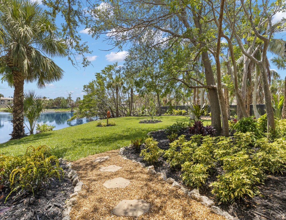 Blue Bayou view 2