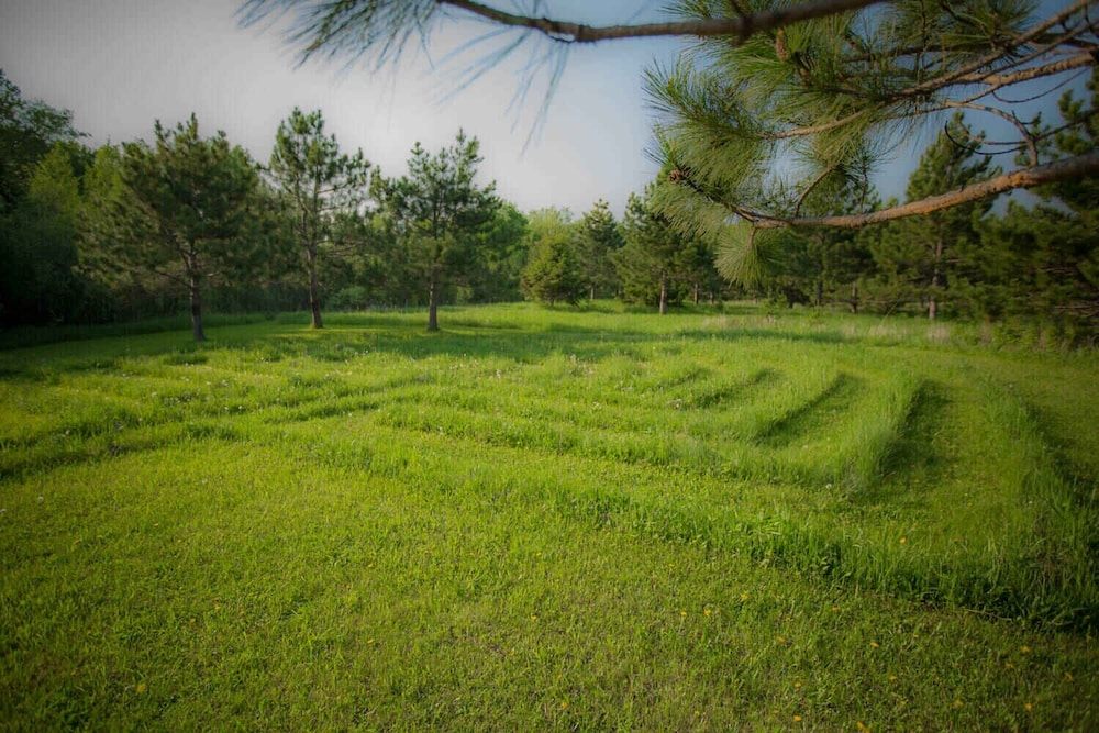 Shire In The Woods