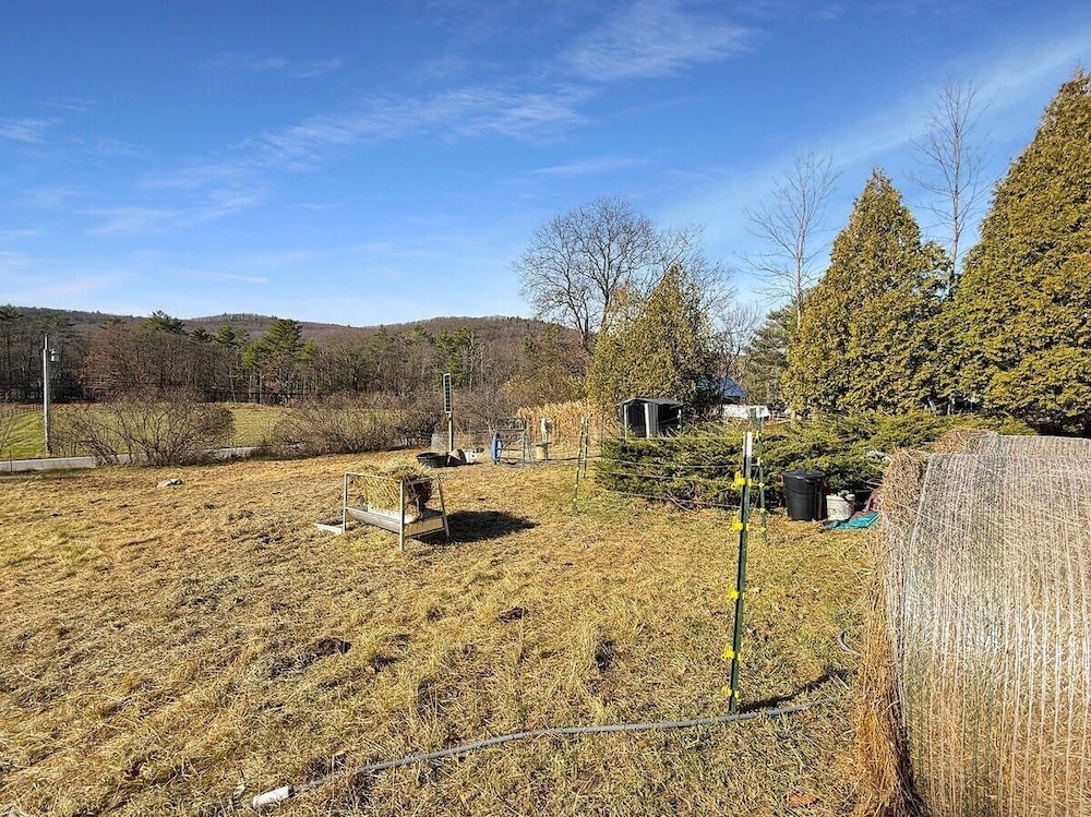 Zen Box Farm