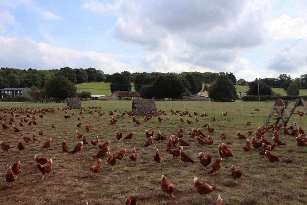 Leafield House @ Nables Farm