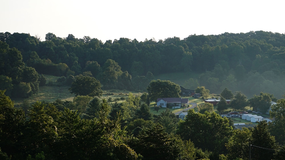 Photo 46