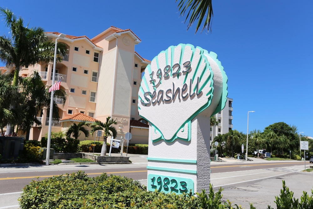 Sea Shell 28
