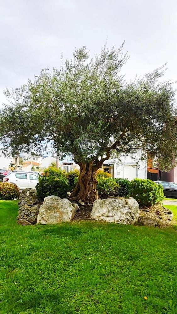 Albergue Arraigos - Hostel - Property Image 7