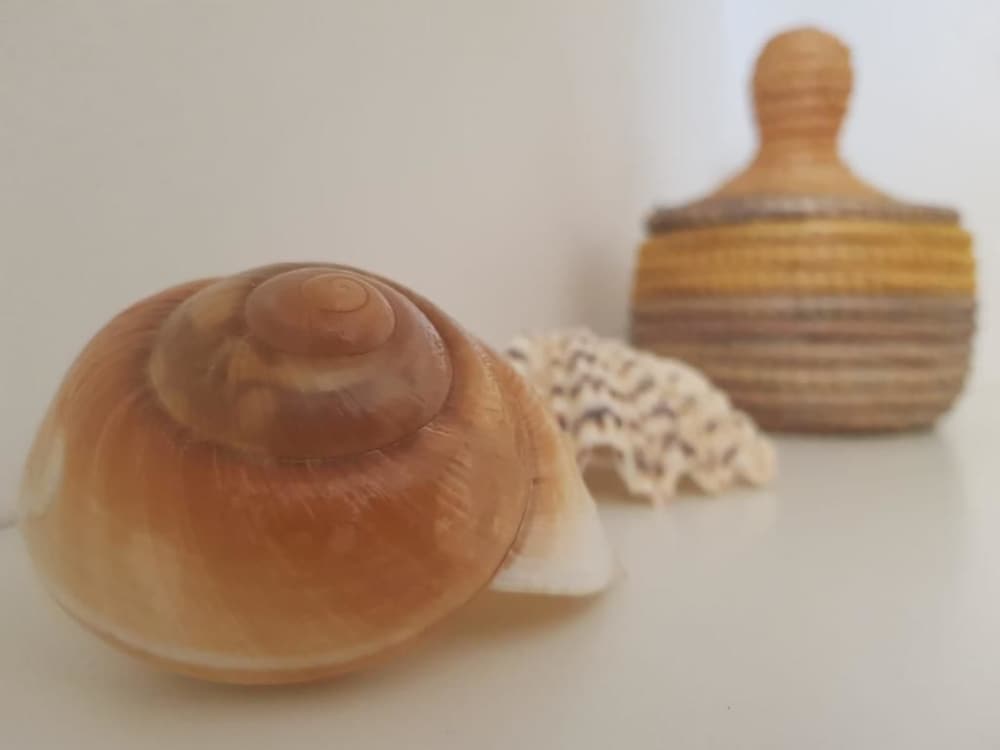 Sea and Tradition