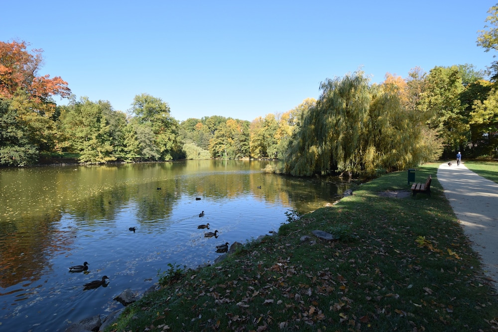Alte Muhle - Property Image 20