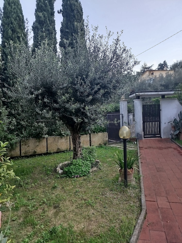 B&B Signora Minù