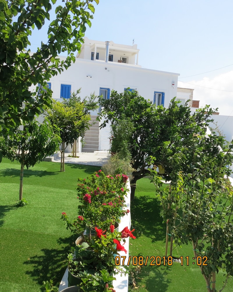Photo 7