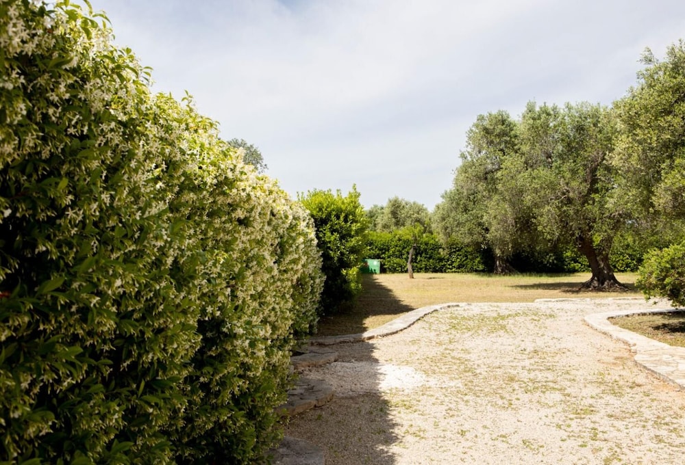 Photo 46