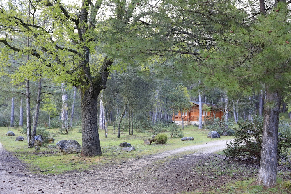 Cabañas Llano de los Conejos