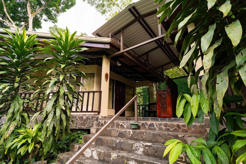 Heliconia Island