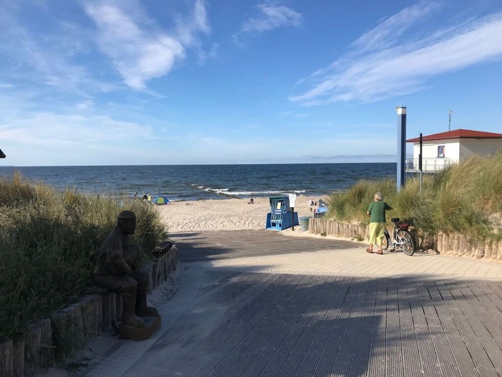 Wood in Zempin/usedom