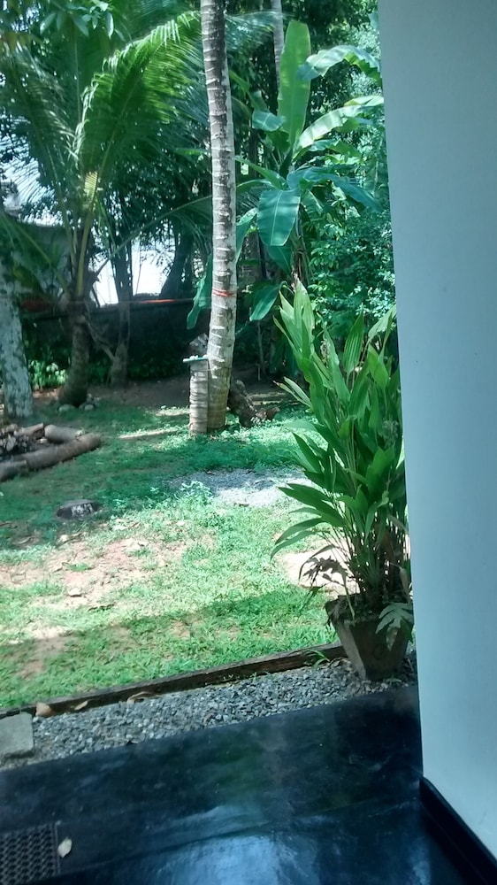 Jungleside House
