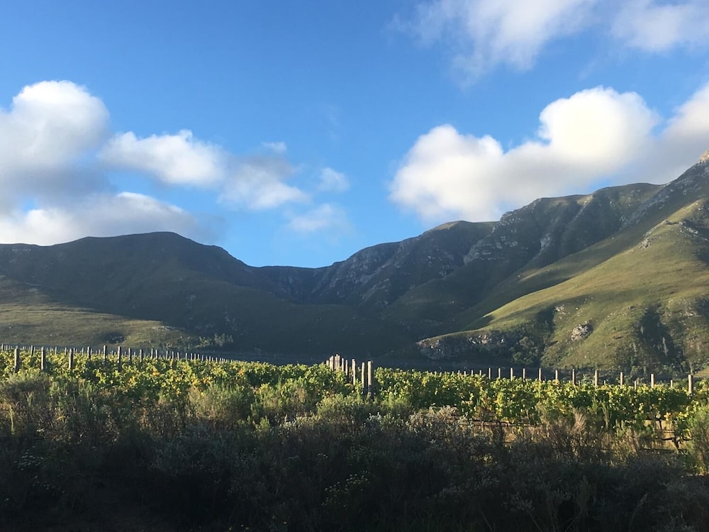 Misty Mountains