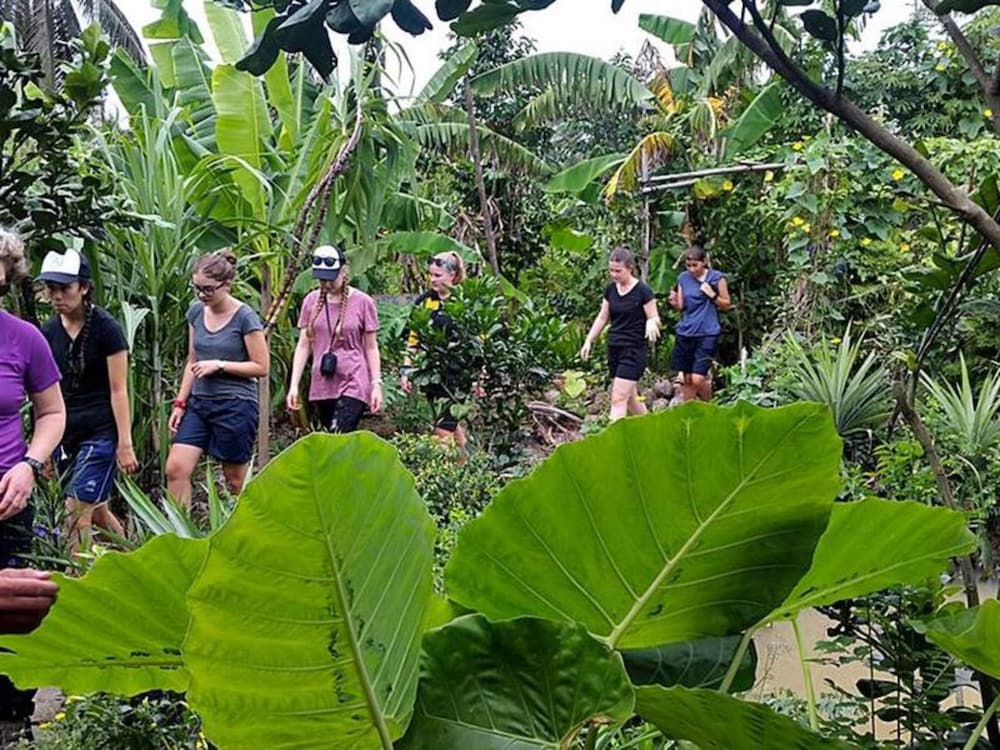 Peaceful Homestay in the Middle of Fruit Garden - Room With Public Restroom view 3